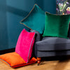 Velvet Cushions