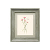 Floral Pink Wall Art - Allimore  Framed Print Stone/Blossom Voyage Maison