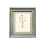 Floral Pink Wall Art - Allimore  Framed Print Stone/Blossom Voyage Maison