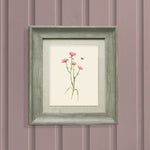 Floral Pink Wall Art - Allimore  Framed Print Stone/Blossom Voyage Maison