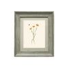 Floral Yellow Wall Art - Allimore  Framed Print Stone/Marigold Voyage Maison