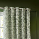 Wylder Bengal Eyelet Curtains in Sage