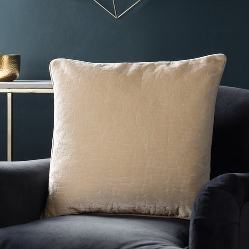 Paoletti Bloomsbury Velvet Cushion Cover in Ivory