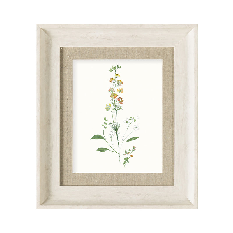 Voyage Maison Bonnie Framed Print in Birch