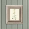 Voyage Maison Bonnie Framed Print in Birch