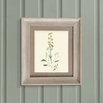 Voyage Maison Bonnie Framed Print in Birch