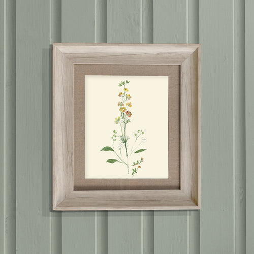 Voyage Maison Bonnie Framed Print in Birch