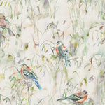 Animal Cream Fabric - Chaffinch Printed Cotton Fabric Cream Voyage Maison