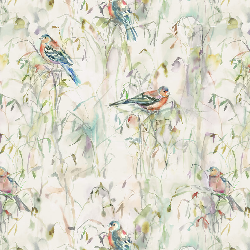 Chaffinch Wallpaper Sample Chaffinch