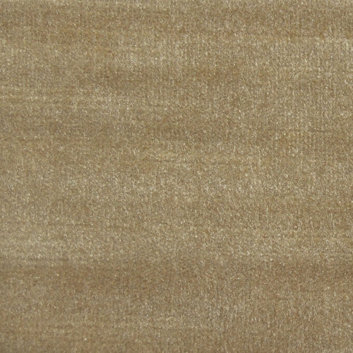 Voyage Maison Chiaso Plain Velvet Fabric in Camel