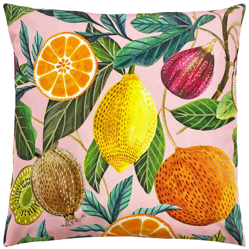 Evans Lichfield Citrus Outdoor Cushion Cover in Blush Pink