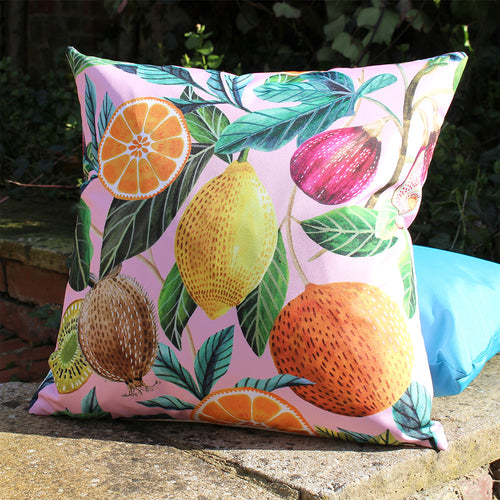 Evans Lichfield Citrus Outdoor Cushion Cover in Blush Pink