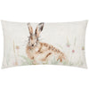 Animal Beige Cushions - Country Hare  Cushion Cover Natural Evans Lichfield