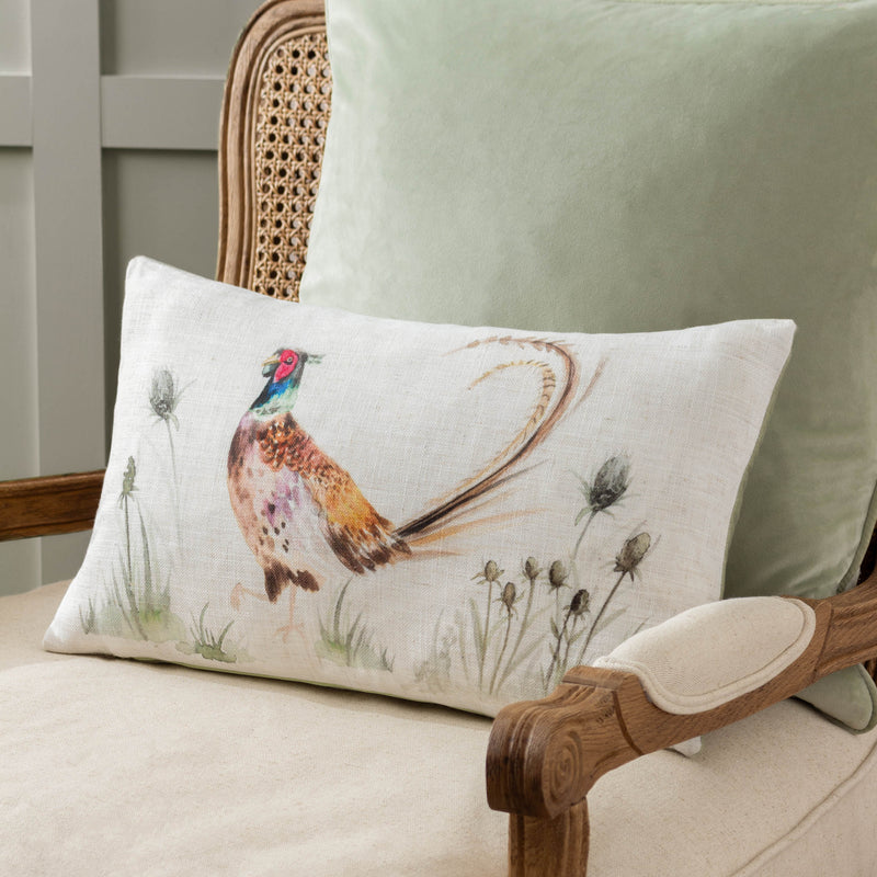 Animal Beige Cushions - Country Pheasant  Cushion Cover Natural Evans Lichfield