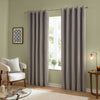 Plain Grey Curtains - The Ultimate Velvet Blackout Eyelet Curtains Silver Furn
