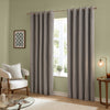 Curtains - The Ultimate Velvet  Eyelet Curtains Silver Furn