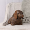 Paoletti Dexter Daschund Dog Door Stop in Brown