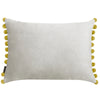 Paoletti Fiesta Velvet Cushion Cover in Dove/Bamboo