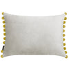 Plain Grey Cushions - Fiesta Velvet  Cushion Cover Dove/Bamboo Paoletti