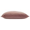 Paoletti Florence Embossed Velvet Cushion Cover in Blush