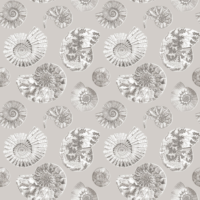 Fossilium Wallpaper Sample Sepia