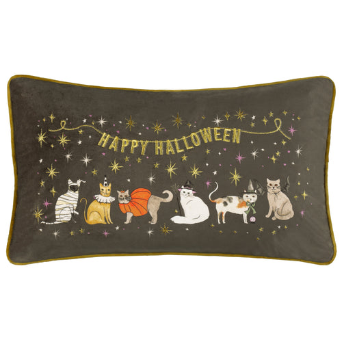 Cushions - Halloween Pawty  Cushion Cover Multicolour Furn