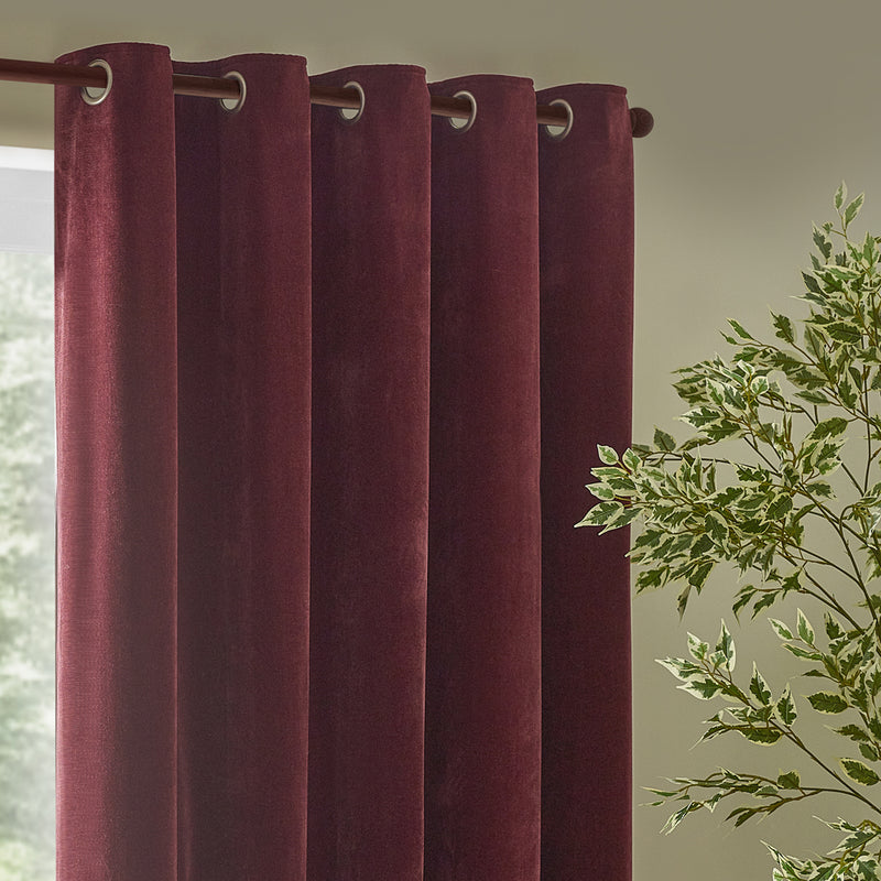  Curtains  - Heavy Chenille  Eyelet Curtains Beetroot Yard