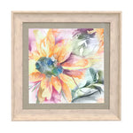 Voyage Maison Helianthus Framed Print in Birch/Mauve