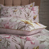 EW by Edinburgh Weavers Lavish Floral Printed Piped Cotton Sateen Pillowcase Pair in Blush