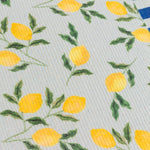 Floral Blue Accessories - Lemons Set of 4 Indoor/Outdoor Placemats Blue furn.