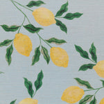  Blue Rugs - Lemons Printed Indoor/Outdoor Outdoor Rug Blue furn.