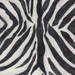 Animal Black Rugs - Leopardis Zebra Printed Indoor/Outdoor Outdoor Rug Multi Paoletti