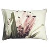 Linen House Alice Grandiflora Pillowcase in Ivory/Green