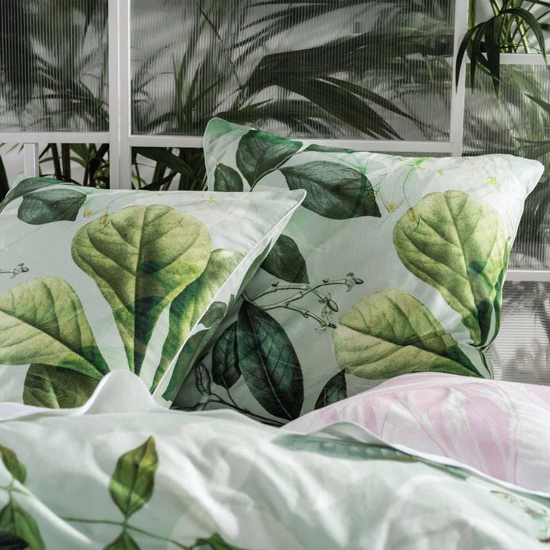 Linen House Glasshouse Botanical Pillow Sham in Mint