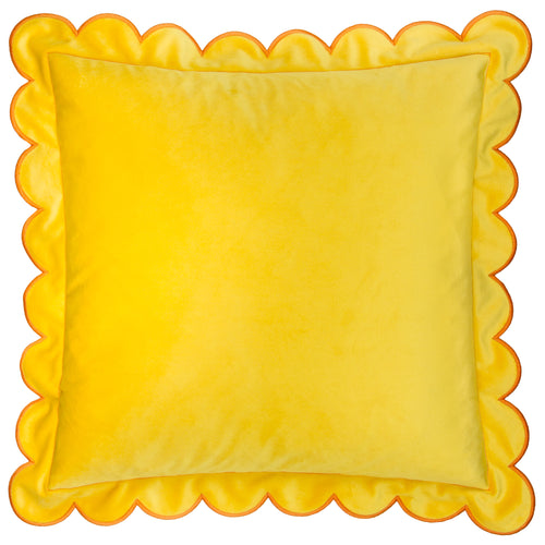  Cushions - Lil Scallop  Feather Filled Cushion Lemon/Ginger Furn