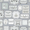 Voyage Maison Luna 1.4m Wide Width Wallpaper in Charcoal