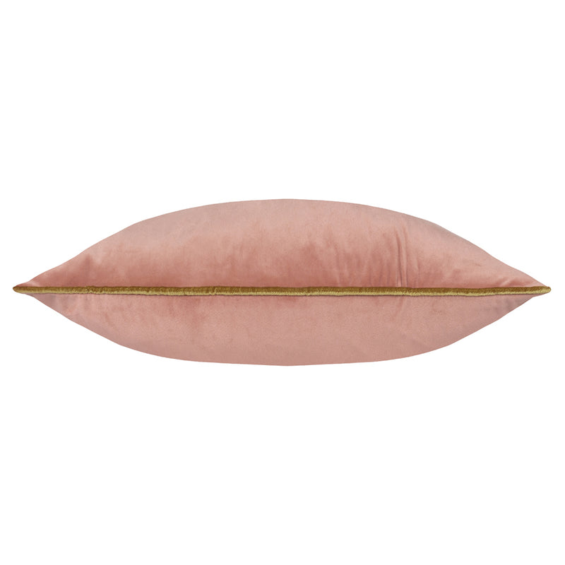 Plain Pink Cushions - Meridian Velvet Cushion Cover Blush/Gold Furn
