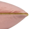 Plain Pink Cushions - Meridian Velvet Cushion Cover Blush/Gold Furn