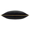 Plain Black Cushions - Meridian Velvet Cushion Cover Black/Gold Furn