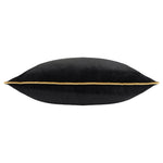Plain Black Cushions - Meridian Velvet Cushion Cover Black/Gold Furn