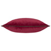 Plain Red Cushions - Meridian Velvet Cushion Cover Cranberry/Mocha Furn