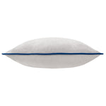Plain Grey Cushions - Meridian Velvet Cushion Cover Silver/Navy Furn