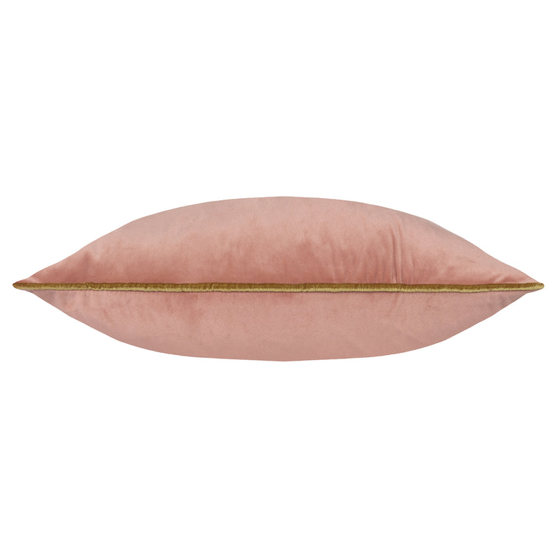 Plain Pink Cushions - Meridian Velvet Cushion Cover Blush/Gold Paoletti