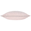 Paoletti Meridian Velvet Cushion Cover in Blush/Grey