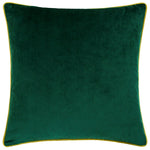 Plain Green Cushions - Meridian Velvet Cushion Cover Emerald/Moss Paoletti