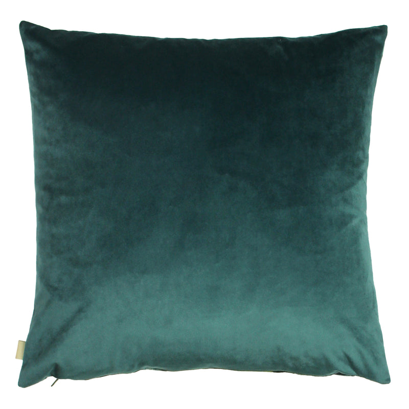 Plain Blue Cushions - Midnight Garden Floral Square Cushion Cover Teal Evans Lichfield