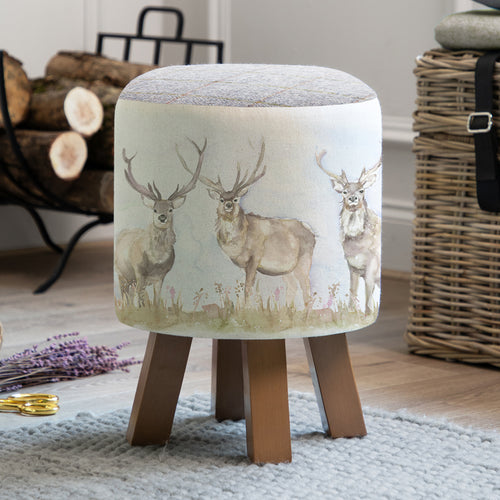 Voyage Maison Monty Round Footstool in Mooreland Stag