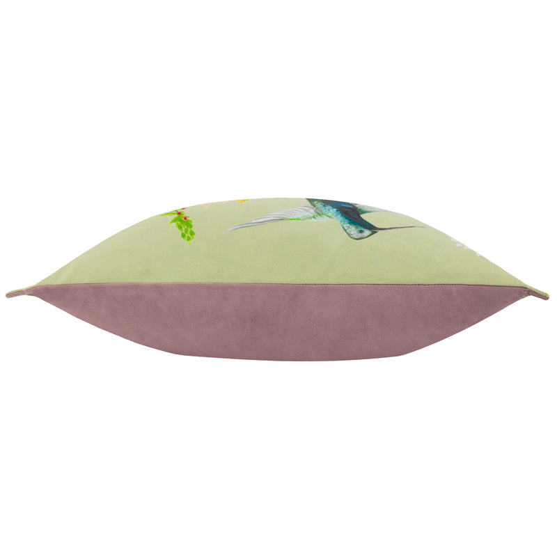 Animal Multi Cushions - Nectar Garden Hummingbird Velvet Cushion Cover Multicolour Wylder