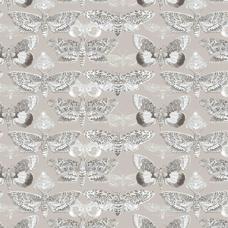 Voyage Maison Nocturnal Printed Cotton Fabric in Sepia