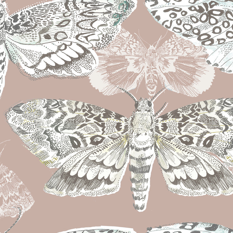 Nocturnal Wallpaper Sample Taupe